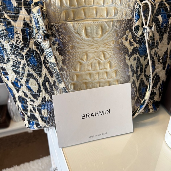 Brahmin Jaguar Ombré - Picture 5 of 13